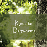 Keys to Bagworms Keys to Bagworms